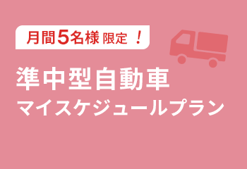 準中型自動車マイスケプラン