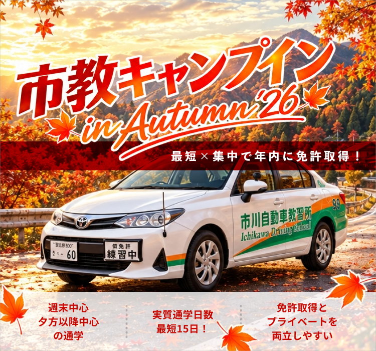 市教にキャンプイン